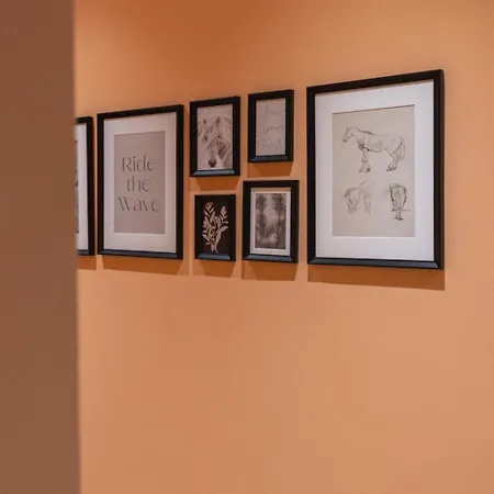 Urban Block 招待所 地拉那